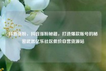 抖音涨粉,抖音涨粉秘籍,打造爆款账号的秘密武器亿乐社区低价自营货源站
