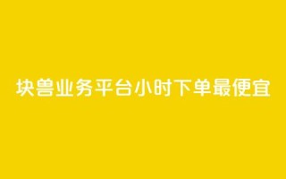 块兽业务平台24小时下单最便宜 - 块兽业务平台全天候最低价下单服务!
