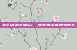 抖音怎么申请客服恢复火花 - 如何有效申请抖音客服恢复服务！