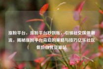 涨粉平台,涨粉平台秒到账,引领社交媒体潮流,揭秘涨粉平台背后的策略与技巧亿乐社区低价自营货源站