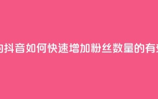 抖音粉丝怎么加上的 - 抖音如何快速增加粉丝数量的有效策略与技巧!