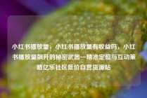 小红书播放量,小红书播放量有收益吗,小红书播放量飙升的秘密武器—精准定位与互动策略亿乐社区低价自营货源站