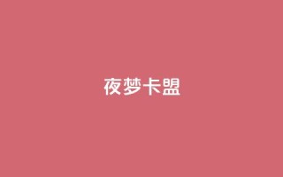 夜梦卡盟 - 24小时卡盟丝