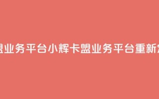 卡盟qq业务平台小辉(qq卡盟业务平台重新定义)