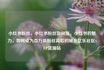 小红书粉丝,小红书粉丝如何涨,小红书的魅力,如何成为百万级粉丝背后的秘密亿乐社区SUP货源站
