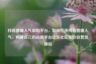 抖音直播人气自助平台，如何打造抖音直播人气，构建自己的自助平台亿乐社区低价自营货源站