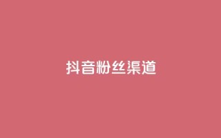 抖音粉丝渠道 - 如何通过抖音提高粉丝获取渠道的效果!