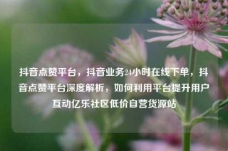 抖音点赞平台，抖音业务24小时在线下单，抖音点赞平台深度解析，如何利用平台提升用户互动亿乐社区低价自营货源站