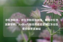 小红书粉丝,小红书粉丝如何涨,解码小红书流量密码,从0到10万粉丝的底层逻辑亿乐社区低价自营货源站