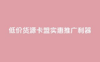 低价货源卡盟，实惠推广利器