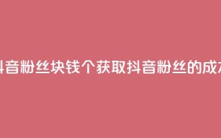 抖音粉丝1块钱10个(获取抖音粉丝的成本)