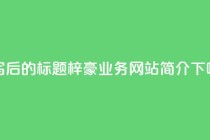 重写后的标题:梓豪QQ业务网站简介