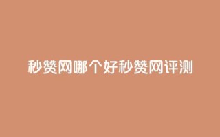 秒赞网哪个好(秒赞网评测)