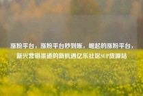 涨粉平台,涨粉平台秒到账,崛起的涨粉平台,新兴营销渠道的新机遇亿乐社区SUP货源站