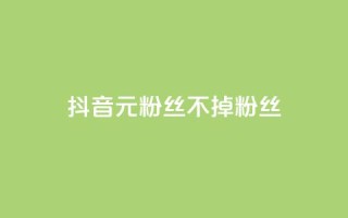 抖音1元3000粉丝不掉粉丝,24小时在线出售快手号 - ks免费业务平台call - 抖音自助平台业务下单秒到