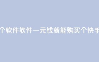 快手一块钱100个软件 - 软件:一元钱就能购买100个快手软件!~
