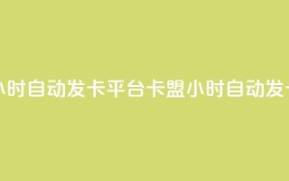 cf卡盟24小时自动发卡平台(CF卡盟24小时自动发卡服务)