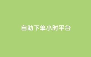 自助下单24小时平台Xhs - 自助下单平台Xhs再次革新,24小时内实现快速下单!~