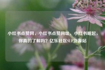 小红书点赞网,小红书点赞网址,小红书崛起,你真的了解吗?亿乐社区SUP货源站