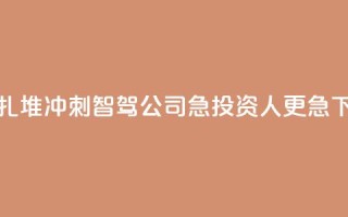 逆风扎堆冲刺IPO,智驾公司急,投资人更急