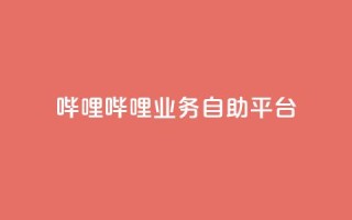 哔哩哔哩业务自助平台,KS免费业务 - 空间访问量50000免费 - qq空间说说软件