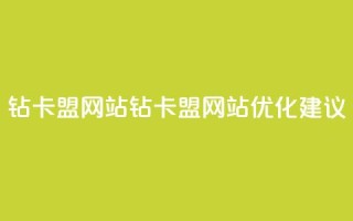 QQ钻卡盟网站(QQ钻卡盟网站优化建议)