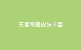 王者荣耀皮肤卡盟 - 王者荣耀皮肤卡盟:充值成为游戏强者~