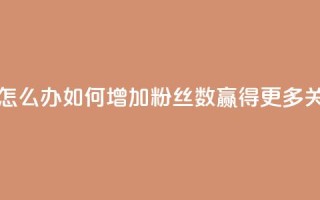 粉丝太少怎么办 - 如何增加粉丝数?赢得更多关注!
