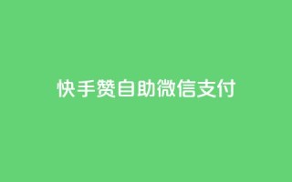 快手赞自助微信支付 - 快手赞微信支付自助操作指南!