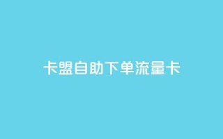 卡盟自助下单流量卡 - 如何购买自助下单流量卡?SEO编辑带你一步步了解!