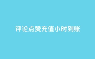 dy评论点赞充值24小时到账 - 24小时充值到账,评论点赞dy助力~