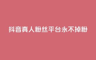 抖音真人粉丝平台 永不掉粉,抖音怎么增加浏览量和粉丝 - 全网最低价qq业务平台登录 - 快手涨1000粉丝网站是多少
