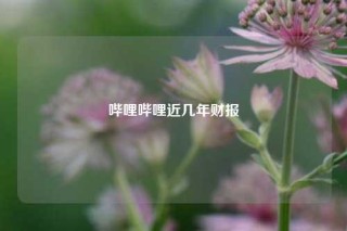 哔哩哔哩近几年财报