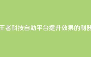 王者科技自助平台:提升SEO效果的利器