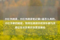 小红书阅读,小红书阅读笔记满15篇怎么弄的,小红书里的秘密,如何在阅读中找到乐趣与灵感亿乐社区低价自营货源站