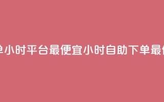 自助下单24小时平台最便宜(24小时自助下单最低价平台)