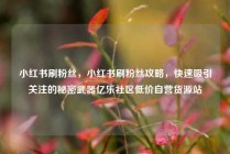 小红书刷粉丝,小红书刷粉丝攻略,快速吸引关注的秘密武器亿乐社区低价自营货源站
