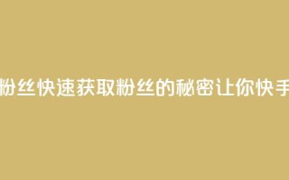 快手如何快速拥有1w粉丝 - 快速获取1w粉丝的秘密,让你快手上名声大噪!!