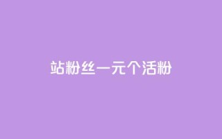 b站粉丝一元1000个活粉 - B站一元可以获得1000个真实活跃粉丝,你绝对不想错过!~