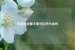 抖音粉丝量不够可以开小店吗