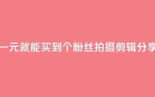 快手买站一块钱1000 - 快手一元就能买到1000个粉丝!拍摄、剪辑、分享,快速增长人气!~