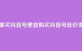 在哪买抖音号便宜(购买抖音号低价渠道)