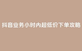 抖音业务24小时内超低价下单攻略