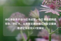 小红书业务平台小红书点赞,小红书点赞网络平台,小红书,从默默无闻到爆红的社交媒体奇迹亿乐社区SUP货源站