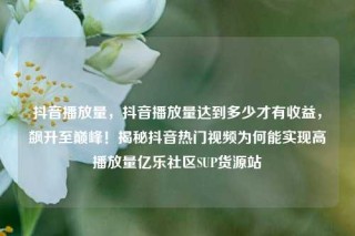 抖音播放量，抖音播放量达到多少才有收益，飙升至巅峰！揭秘抖音热门视频为何能实现高播放量亿乐社区SUP货源站