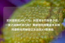 买抖音粉丝10元一万,抖音买十万粉多少钱,一夜之间飙升百万粉!揭秘如何用低成本买到抖音粉丝的秘密亿乐社区SUP货源站