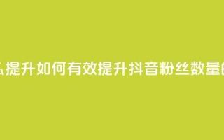 抖音有效粉丝怎么提升 - 如何有效提升抖音粉丝数量的方法分享!