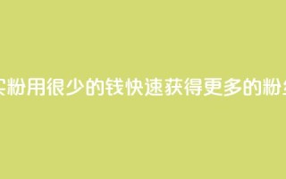 一块钱买1000粉 - 用很少的钱快速获得更多的粉丝!!