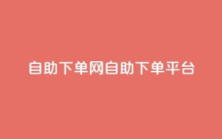 dy自助下单网(DY自助下单平台)