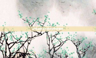 抖音点赞关注兼职联系在哪找